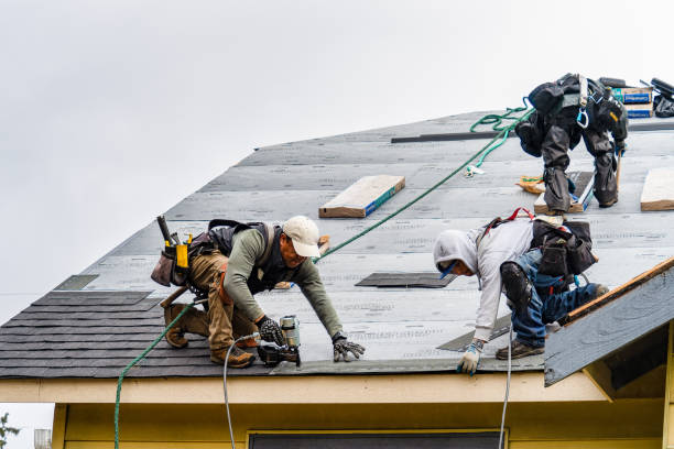 Professional Roofing technician working in Burbank, WA